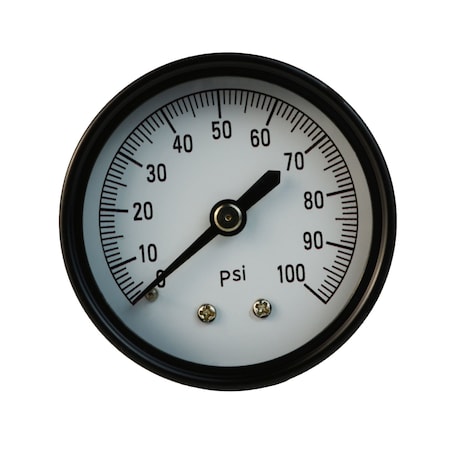 Eco-Flo 2" Check Valve (PL) (600) EFCVP200